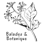 Balades & Botanique